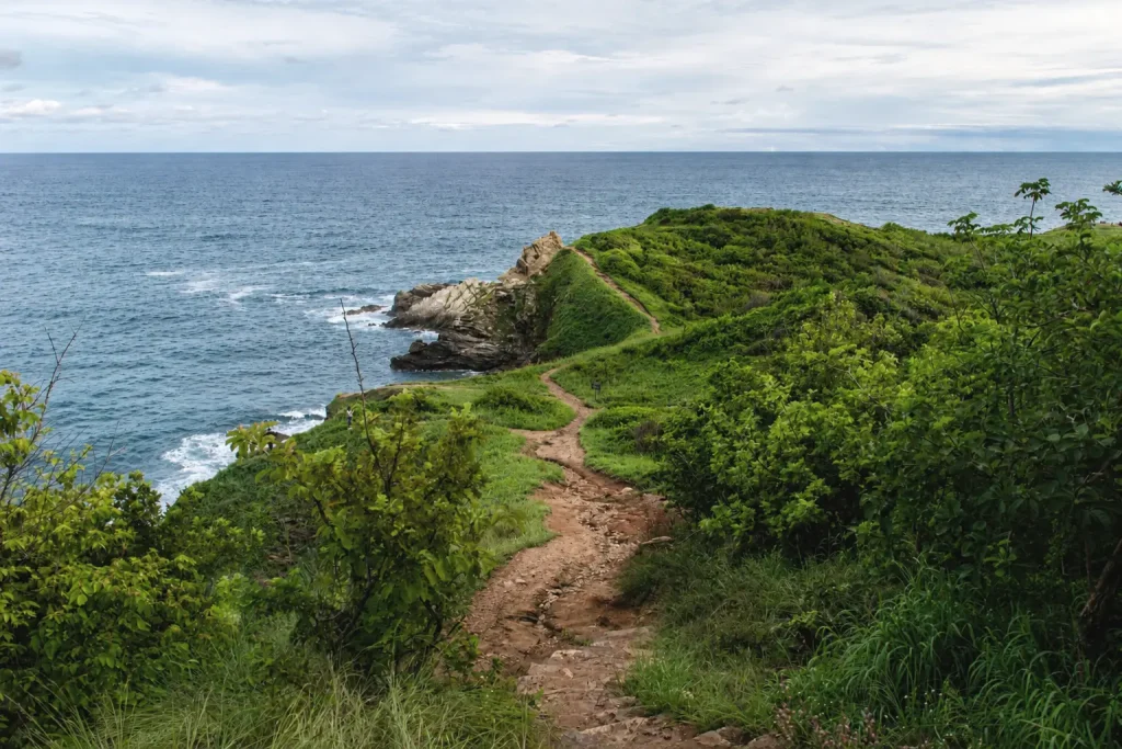 Sendero costero cerca de Mazunte en Oaxaca, rodeado de vegetación tropical y vistas al océano